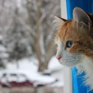 Meet your Posher, Pam